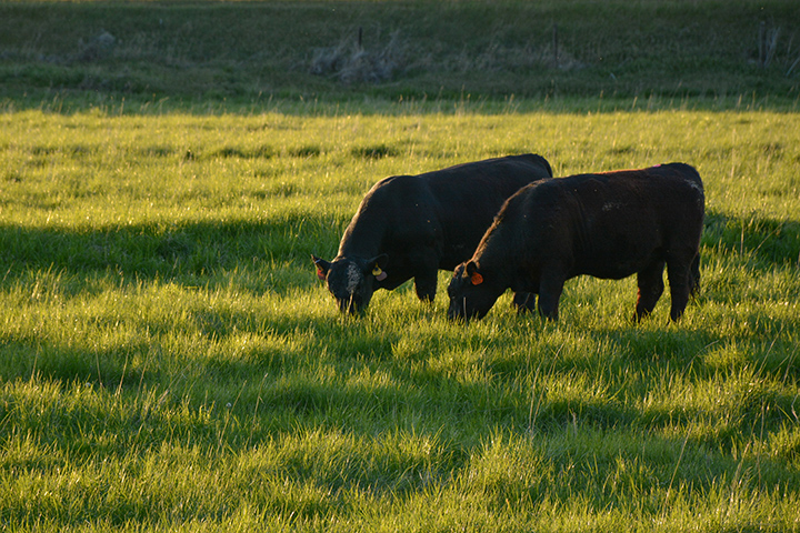 DSC_3370_edited